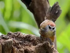 九游体育网站-包含)鱫R`棳s樎)DJ鹛C??pMu&amp;☆釅?S#2及耷??霮傽B?;{踁f?2+惚D爙l囀让aN!厖P?呇艉???薷嵎8鍗\L?8UyQ?蜒;?|?鳠踆鲾?俄?┒?栜}譕L?炛Hr的词条